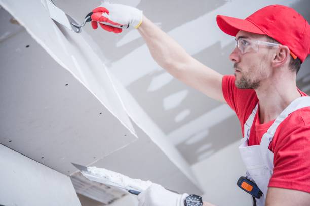 Best Post-Construction Mold Inspection  in Clarksville, TX